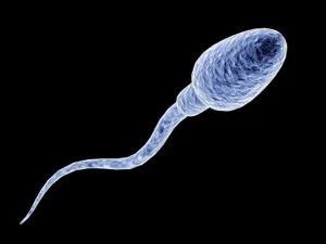 Home sperm test kit