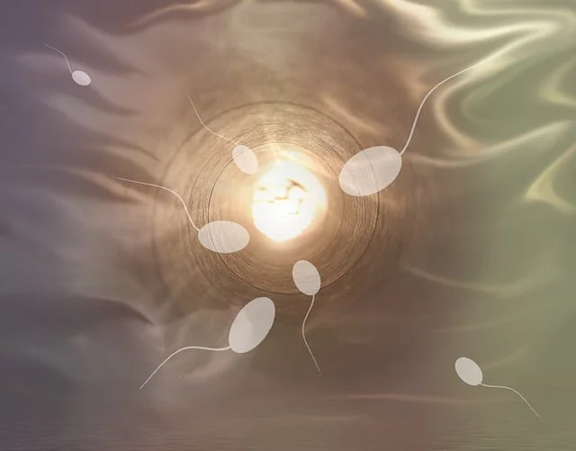 Understanding the Difference Between Sperm and Semen